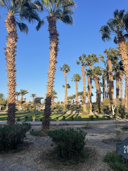 Gartenanlage Lotus Bay Beach Resort