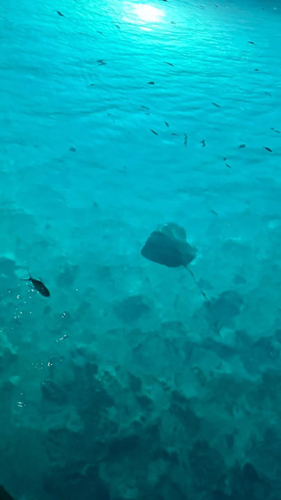 Sonstiges Kuredu Island Resort & Spa