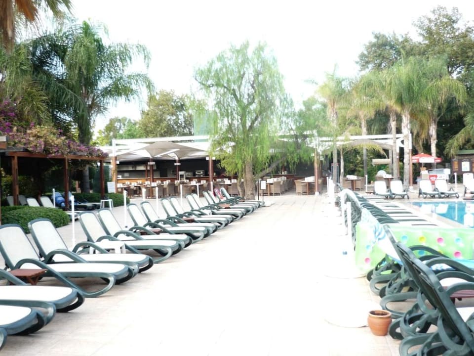 Blick zur Pool-Bar Side Star Elegance