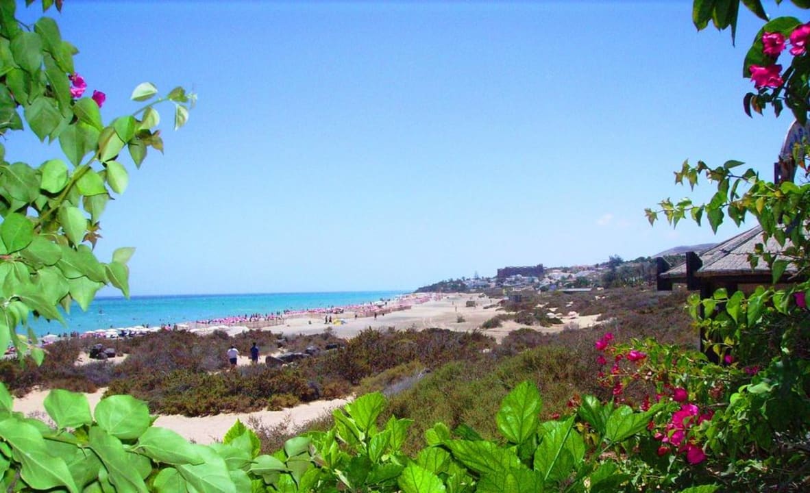 Blick von der Beach-Bar SBH Hotel Taro Beach