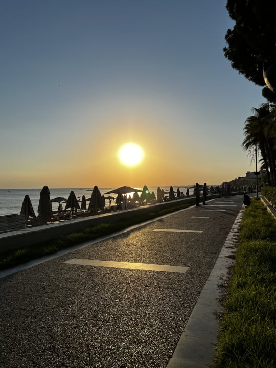 Strand Acanthus Cennet Barut Collection