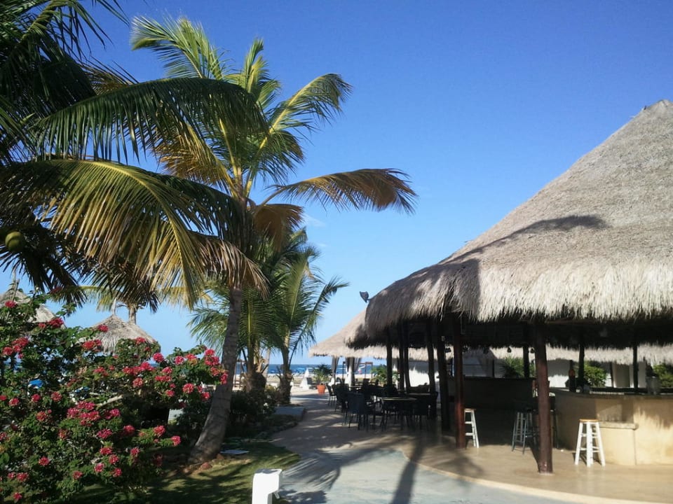 Bar pod strzechą Hotel Sunsol Punta Blanca
