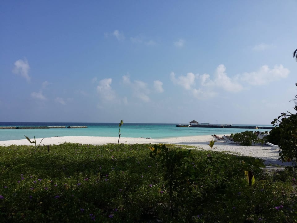 Steg Summer Island Maldives