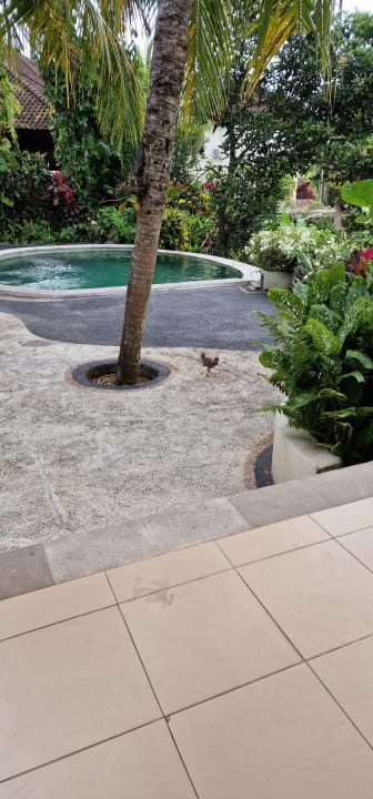 Gartenanlage West Bali Villas Umasari Resort