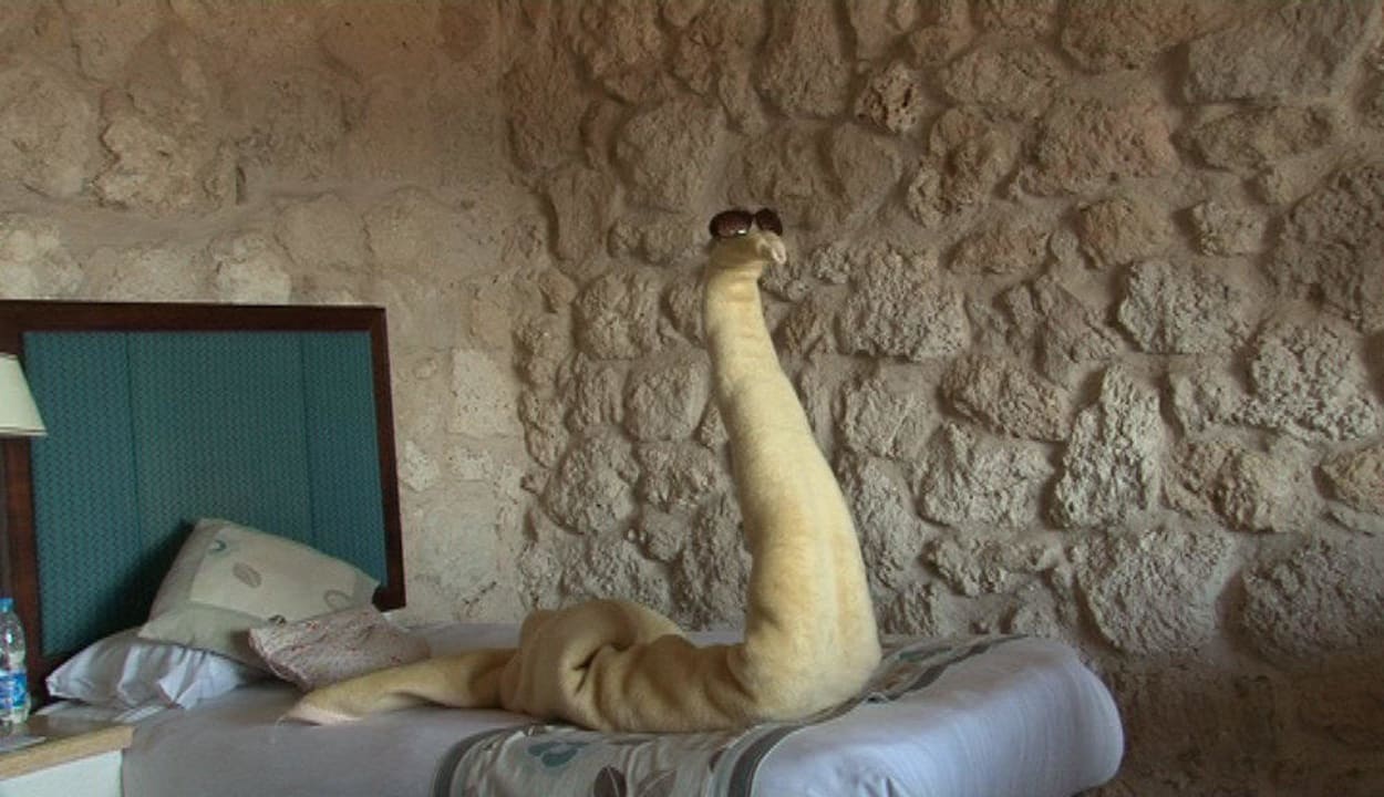 Ein Gruß vom sehr engagierten Zimmerpersonal Pickalbatros Citadel Resort