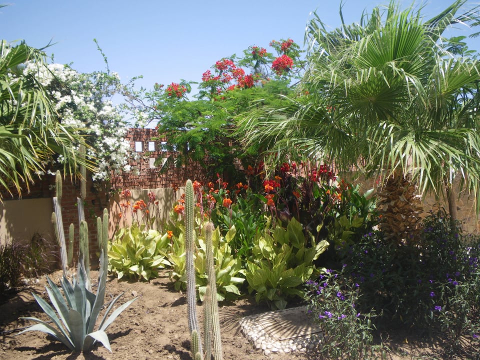 Super Shams Alam Beach Resort