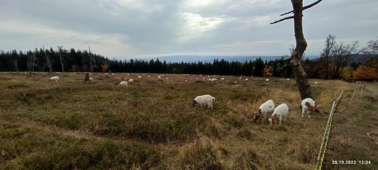 Ausblick Berghotel Hoher Knochen