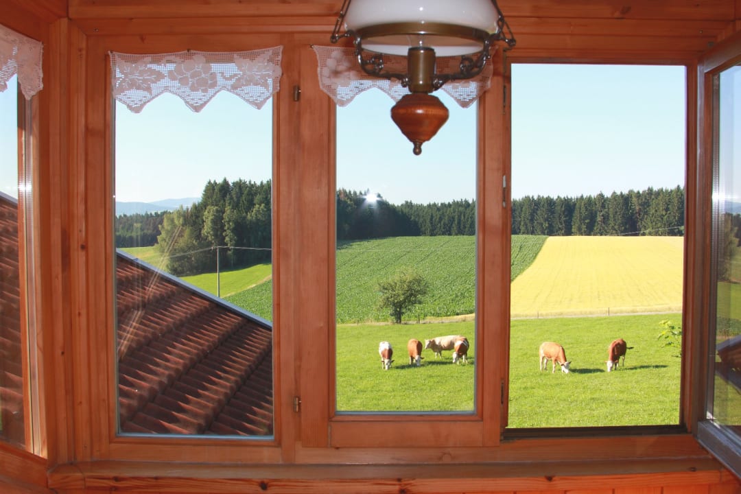 Ausblick Ferienhof Dannerbauer