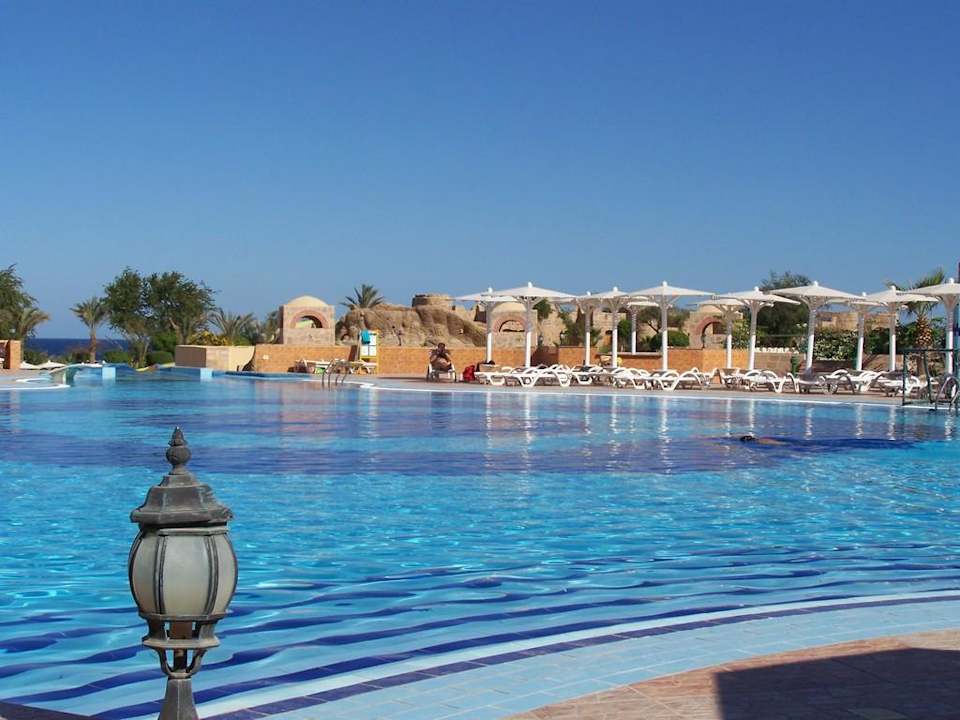Der schöne Pool Utopia Beach Club