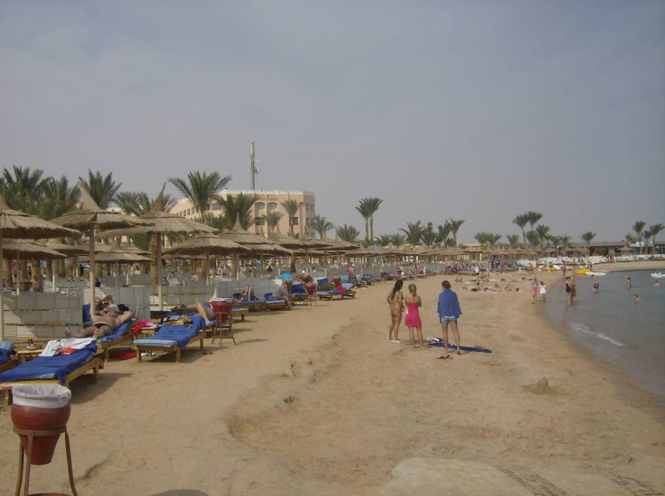 Strand liegt in einer U-förmigen Bucht Beach Albatros Resort