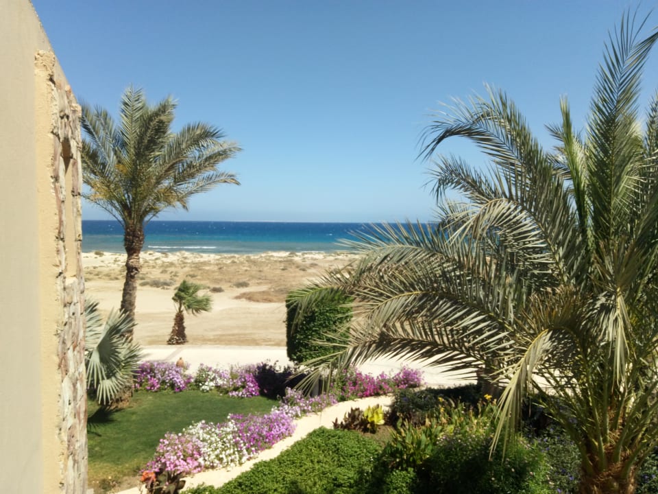 Zimmer Shams Alam Beach Resort