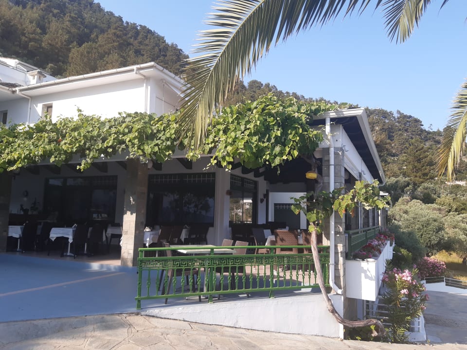 Gastro Hotel Dionysos
