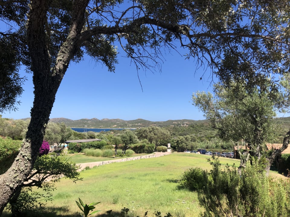 Gartenanlage Hotel Maora Village