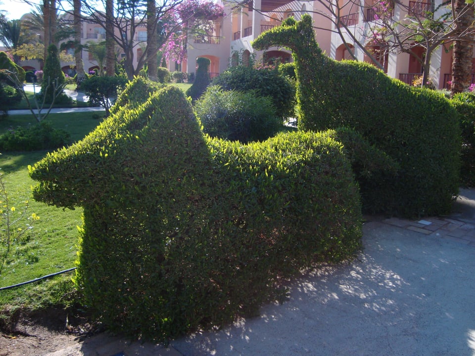 Причудливые фигуры из кустарников  Jaz Makadi Saraya Resort