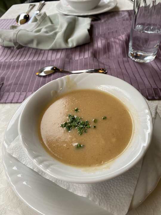 Gastro Hotel Metzgerwirt