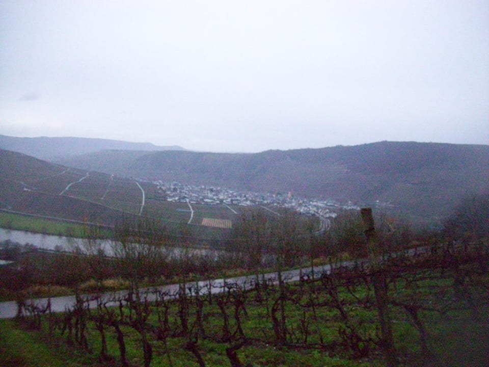 Ausblick Landal Sonnenberg