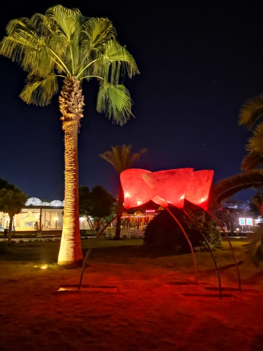 Gartenanlage Desert Rose