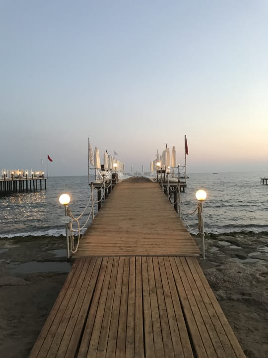 Strand Dizalya Palm Garden