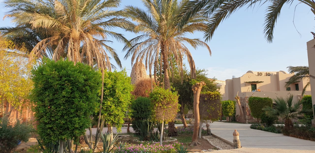 Außenansicht Shams Alam Beach Resort