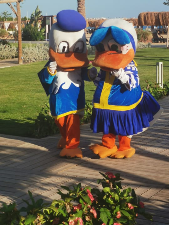 Sport & Freizeit Steigenberger Resort Ras Soma