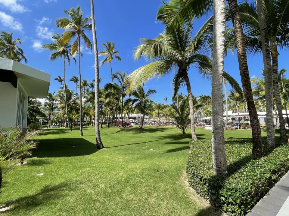 Gartenanlage Hotel Riu Palace Macao - Adults only