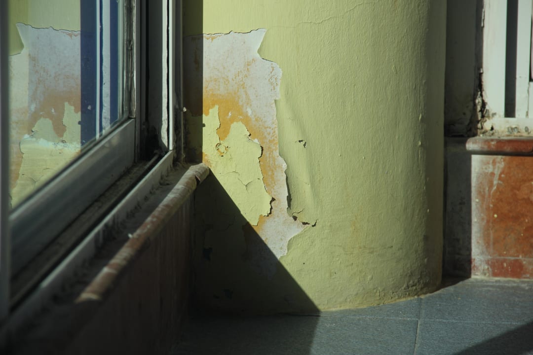 Grzyb Hotel Solymar Beach Resort