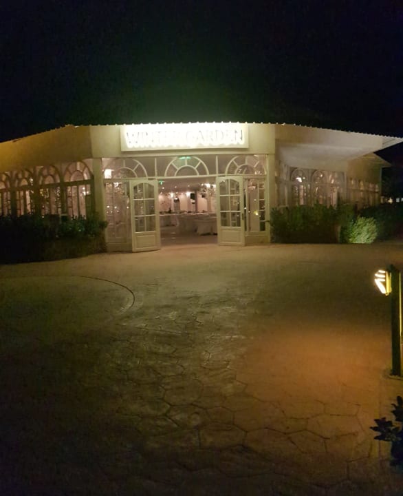 Sonstiges Desert Rose