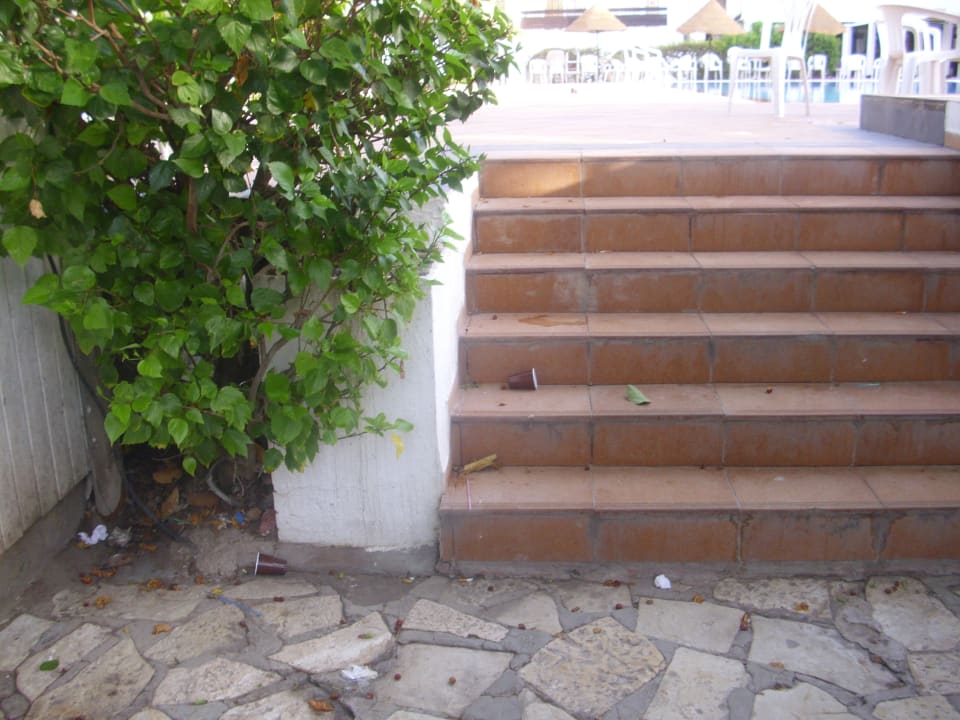 Sonstiges Marhaba Royal Salem