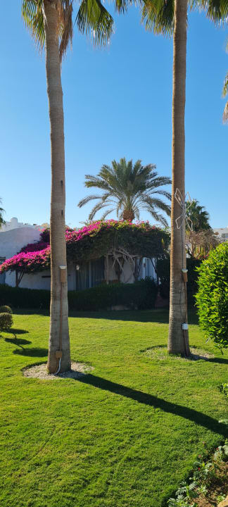 Gartenanlage Sharm Club Beach Resort