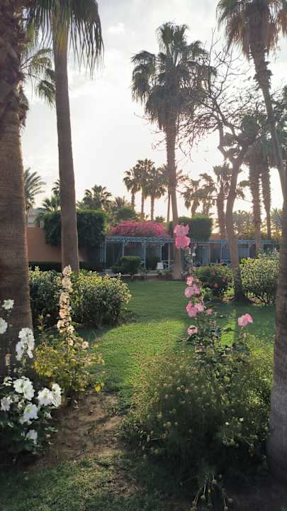 Gartenanlage Giftun Azur Resort