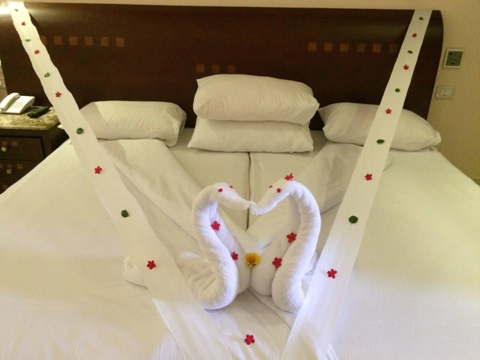 Immer schöne Motive Shams Prestige Abu Soma-Adults Only