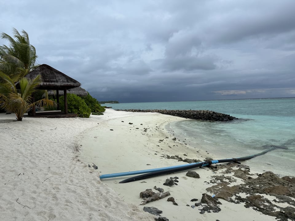 Gastro Summer Island Maldives