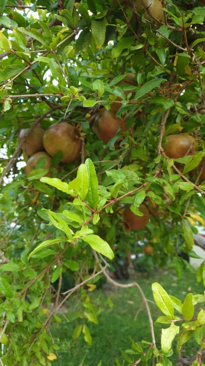 Ausblick VONRESORT Golden Beach