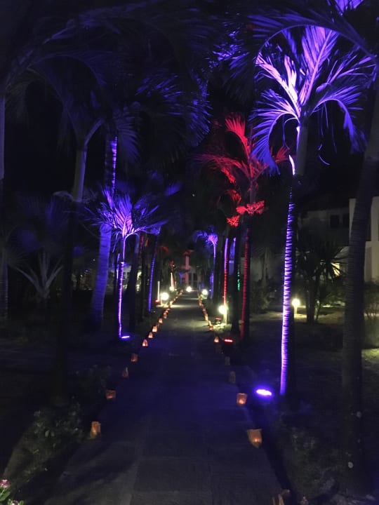 Gartenanlage Veranda Palmar Beach Hotel