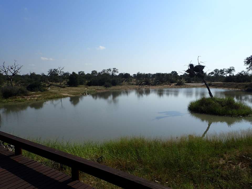 Ausblick Gomo Gomo Game Lodge