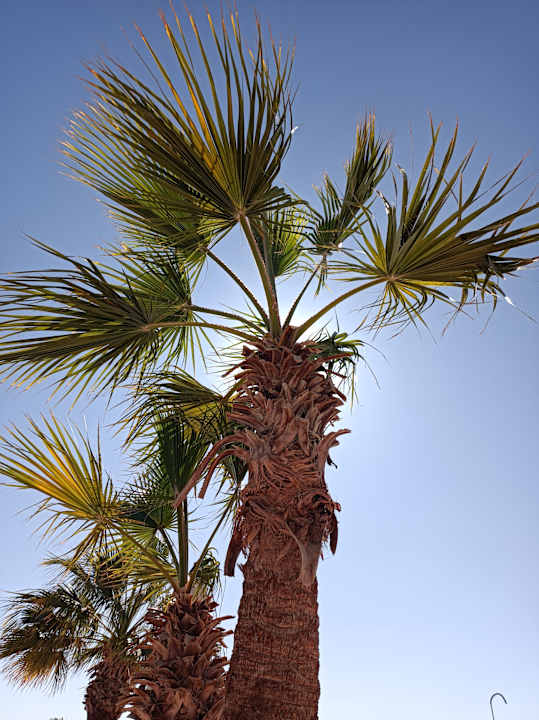 Sonstiges Mövenpick Resort & Spa El Gouna