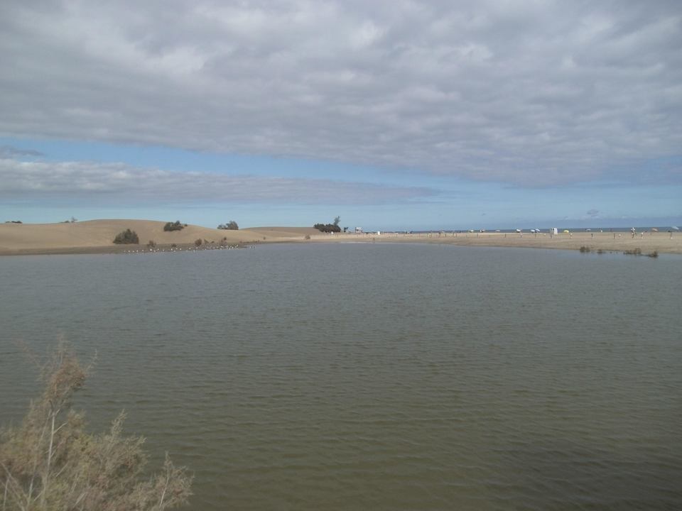 Die Lagune vor den Dünen Hotel Chiripa