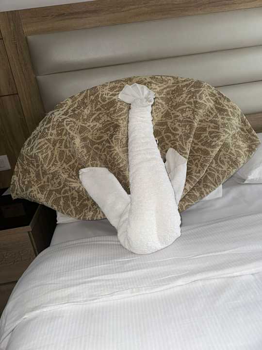 Zimmer Beach Albatros Resort