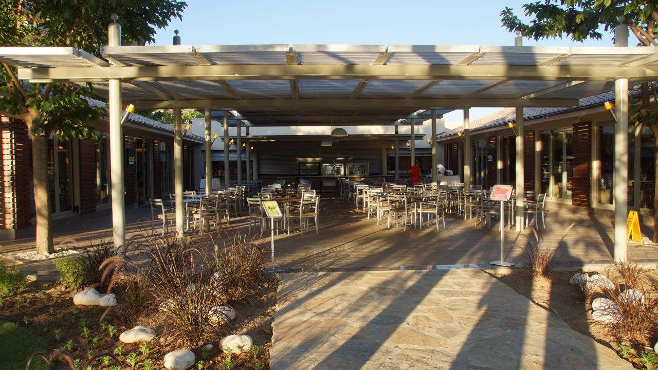 Olive und Asia Restaurant Lara Barut Collection