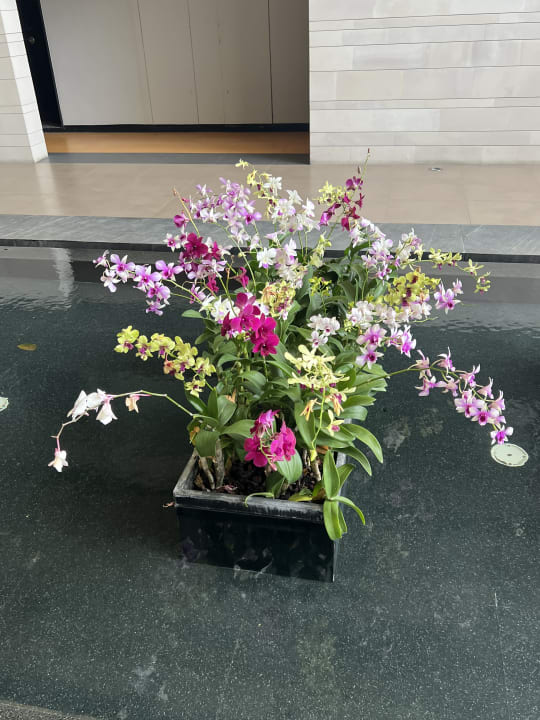 Sonstiges DoubleTree by Hilton Phuket Banthai Resort