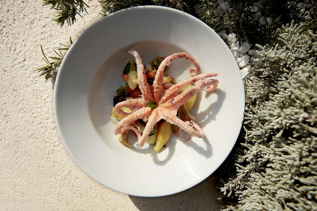 Plat Hotel Alain Llorca