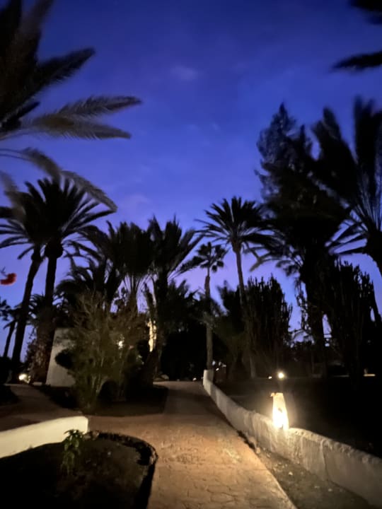 Gartenanlage Aldiana Club Fuerteventura