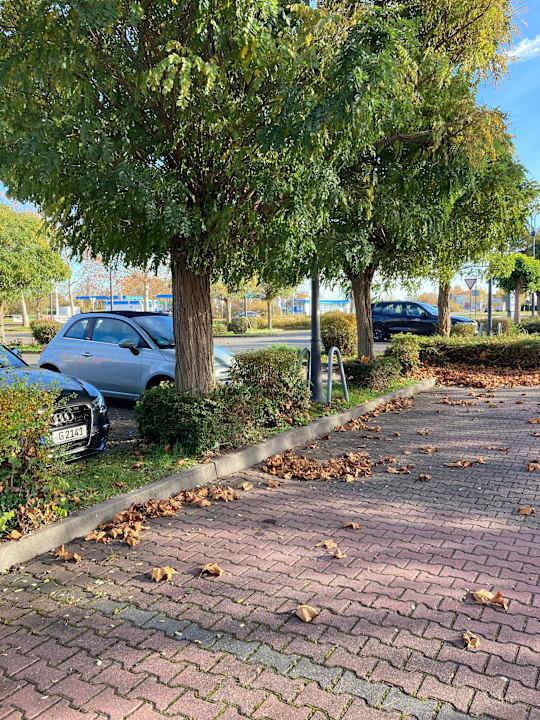 Außenansicht Best Western Parkhotel Brehna - Halle