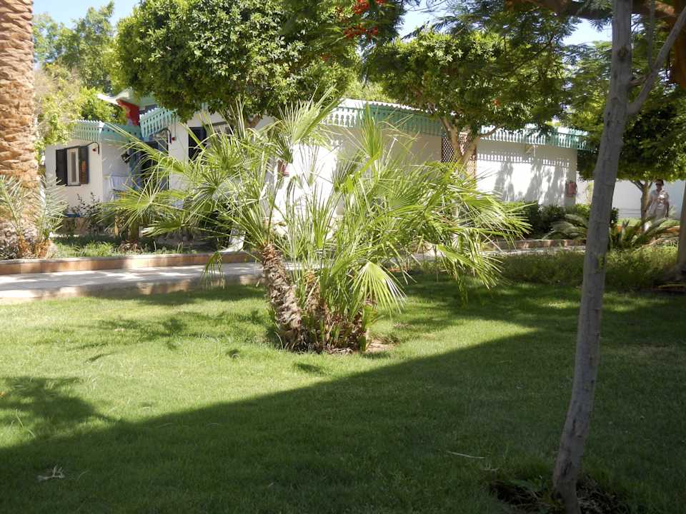 Gartenanlage Ghazala Beach