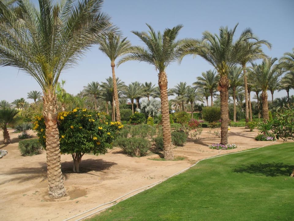 Gartenanlage Steigenberger ALDAU Beach Hotel