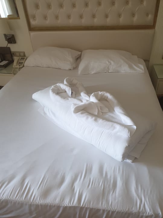 Zimmer Haydarpasha Palace