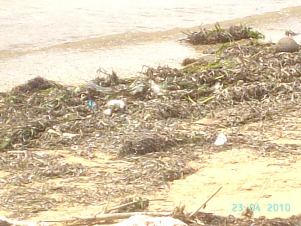 Der Untergang Villa Shanti Beach