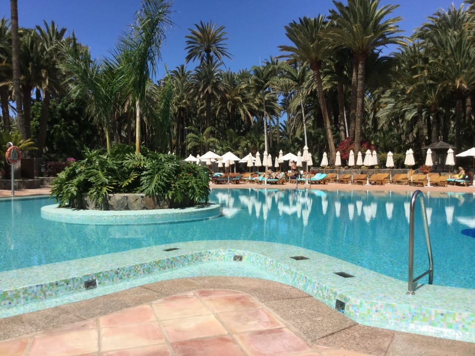 Pool Seaside Hotel Palm Beach