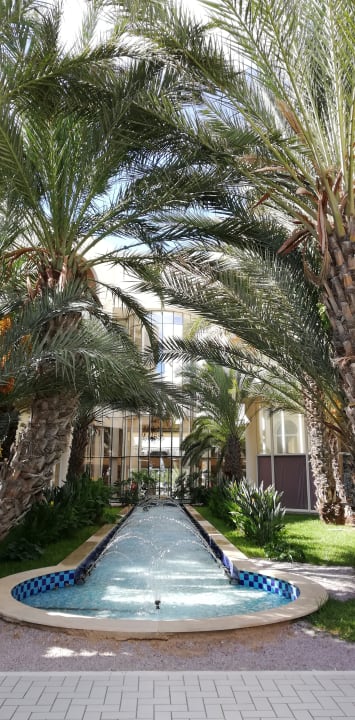 Garten Iberostar Waves Averroes