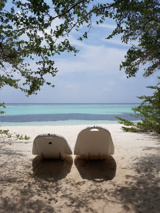Ausblick Palm Beach Resort & Spa Maldives